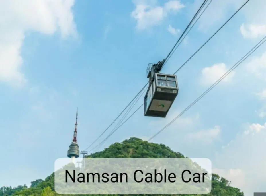 Palmtree Villa Myeongdong 101 Сеул 0*,  Южная Корея