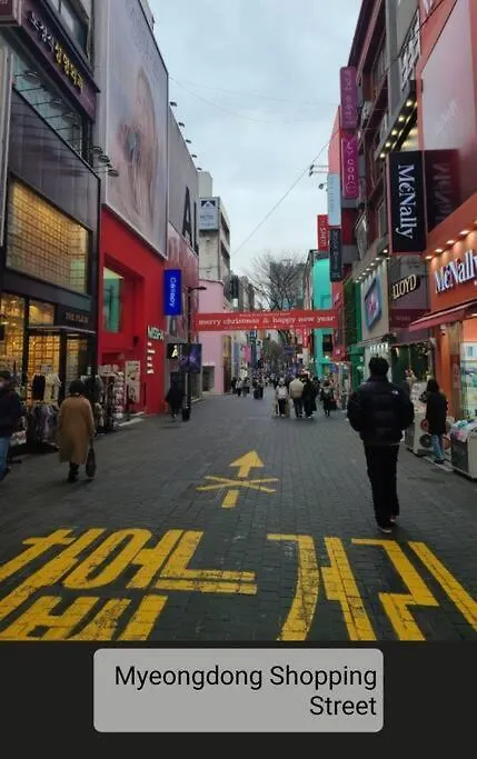 아파트 Palmtree Villa Myeongdong 101 서울특별시 대한민국